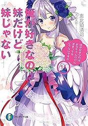 Amazon.co.jp: 俺が好きなのは妹だけど妹じゃない 3 (富士見